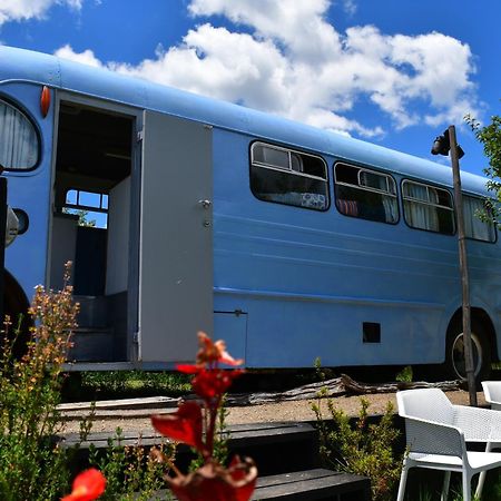 Evi The School Bus At Oromahoe Downs Farm Puketona المظهر الخارجي الصورة