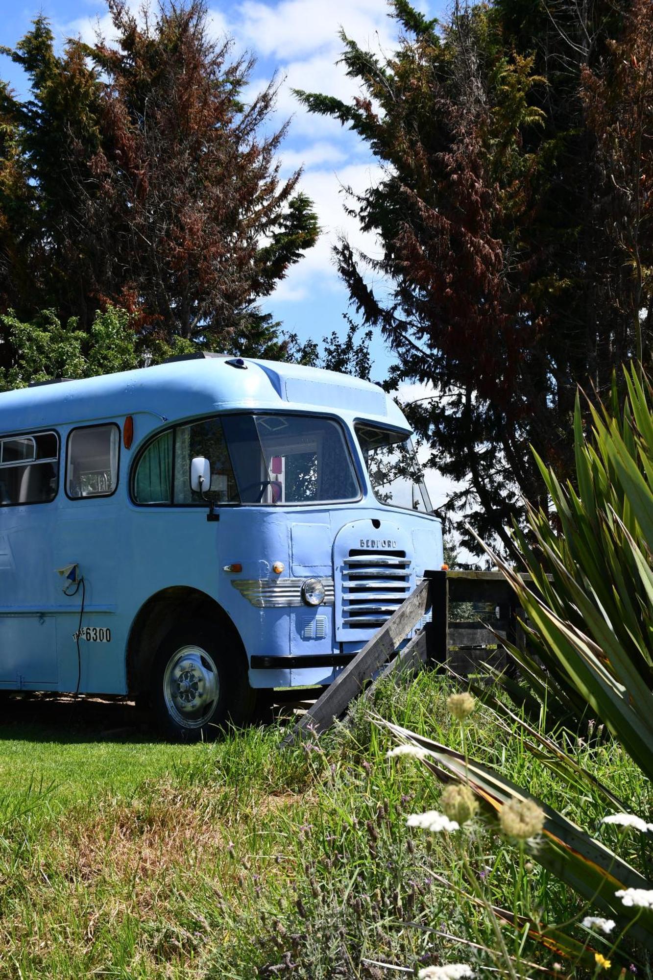 Evi The School Bus At Oromahoe Downs Farm Puketona المظهر الخارجي الصورة