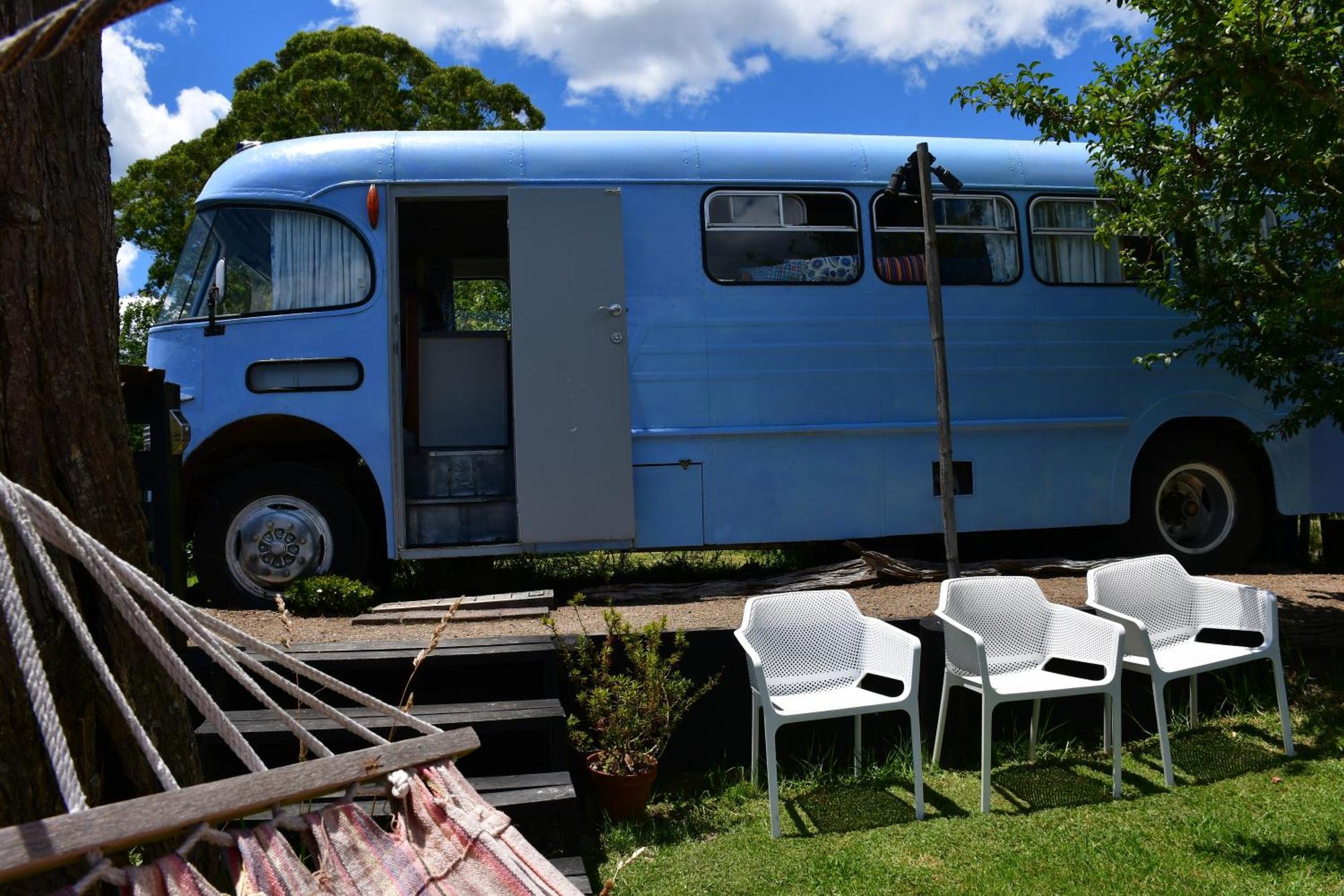 Evi The School Bus At Oromahoe Downs Farm Puketona المظهر الخارجي الصورة