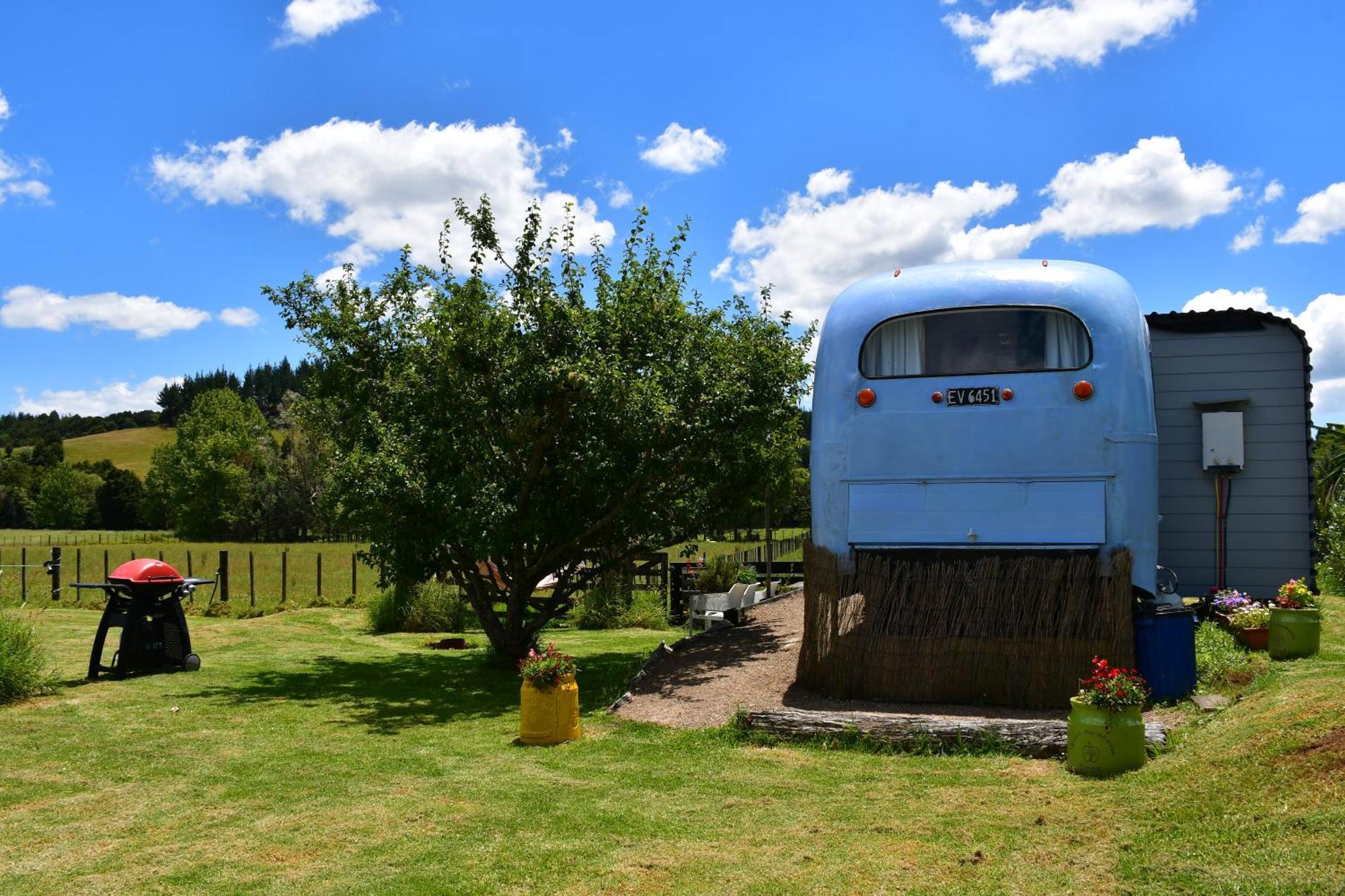 Evi The School Bus At Oromahoe Downs Farm Puketona المظهر الخارجي الصورة
