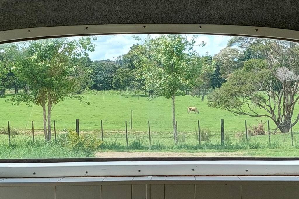 Evi The School Bus At Oromahoe Downs Farm Puketona المظهر الخارجي الصورة