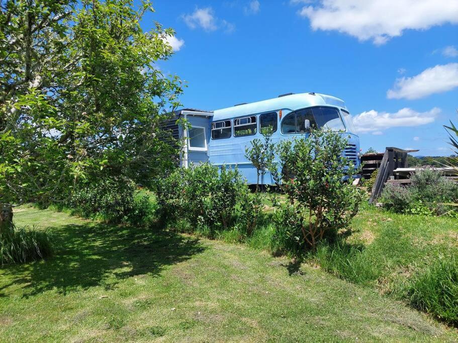 Evi The School Bus At Oromahoe Downs Farm Puketona المظهر الخارجي الصورة
