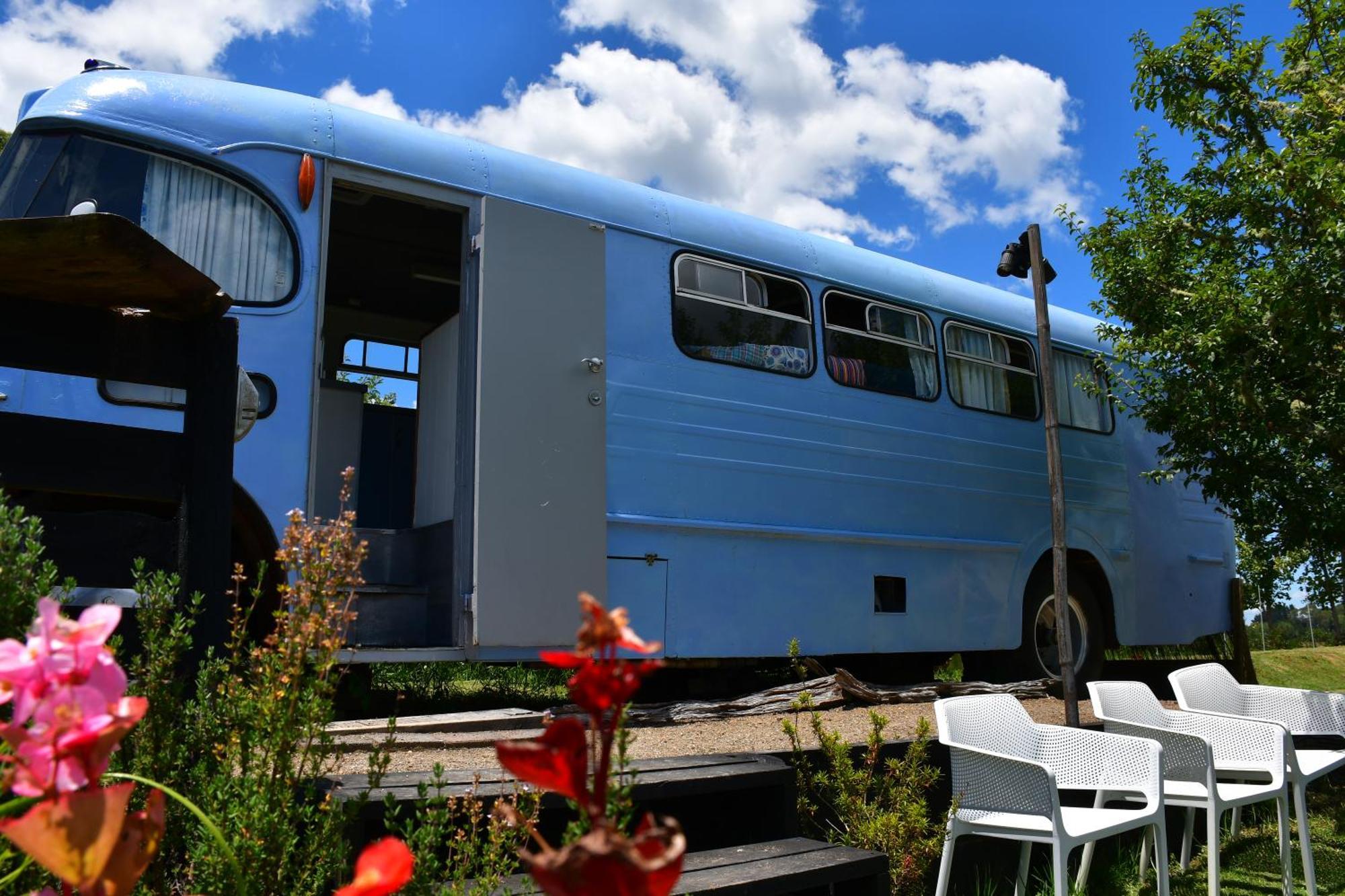 Evi The School Bus At Oromahoe Downs Farm Puketona المظهر الخارجي الصورة